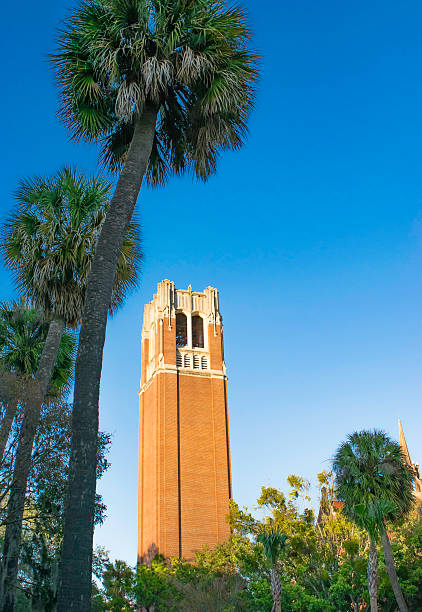 istock University of Florida 635699274