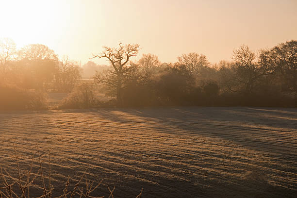 istock Frosty Morning Sunrise Glow 635702676