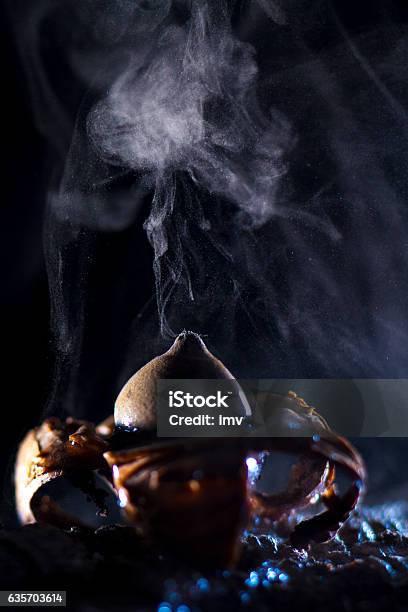 Geastrum Fimbriatum Expelling Spores Stock Photo - Download Image Now - Dark, Dispersal - Botany, Emitting