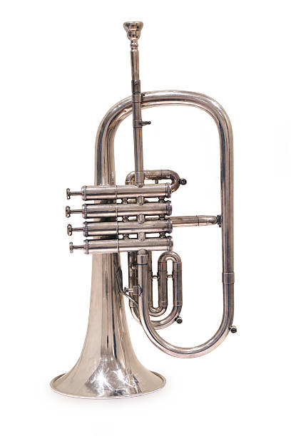 filiscorno - trumpet musical instrument wind instrument flugelhorn imagens e fotografias de stock