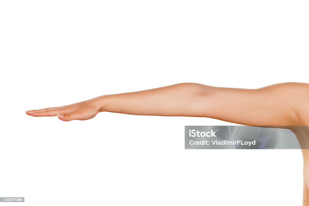 whole woman hand with the palm down on a white background Whole Stock Photo