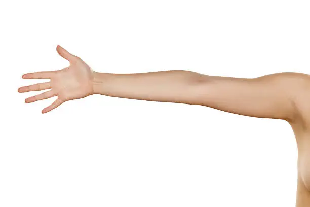 Photo of whole female hand with the palm on a white background