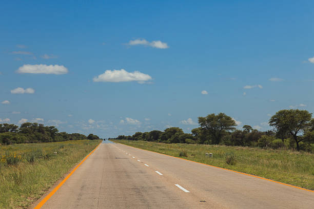 istock South African road through the savannas and deserts with marking 635719646