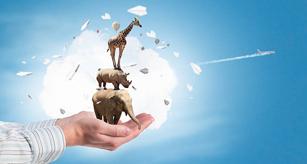istock Animals care and protection . Mixed media 635719860