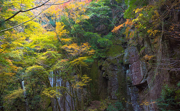 Akame Creek in Nabari, Mie, Japan Fall foliage in Akame Creek, Nabari, Mie, Japan akame shijyuhachi stock pictures, royalty-free photos & images