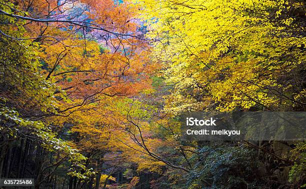 Akame Creek In Nabari Mie Japan Stock Photo - Download Image Now - Akame Shijyuhachi, Asia, Autumn
