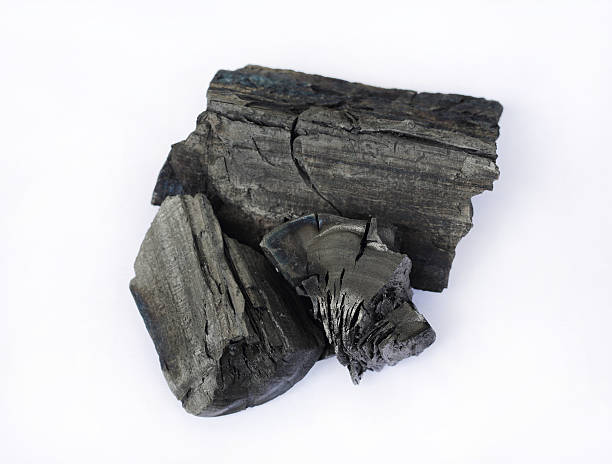 istock Natural wood charcoal on white, 635725672