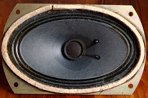 istock closeup of speaker 635726008