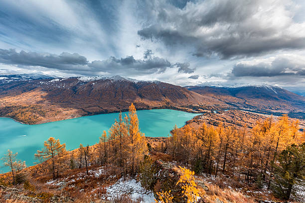 Kanas lake,Yellow trees, and mountain on the background, 11mm lens.