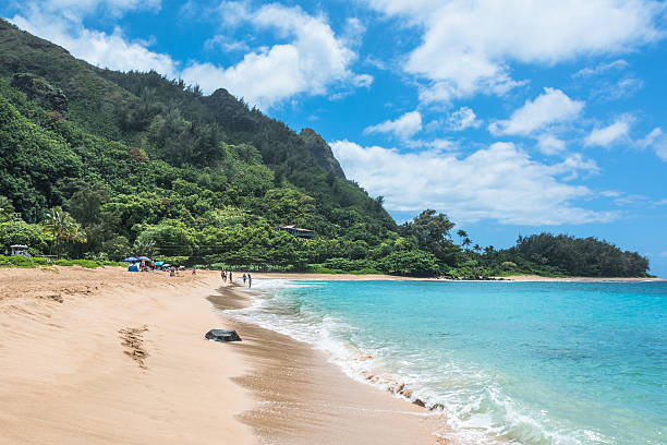 istock Kilauea Beach in Kauai, Hawai 635730390