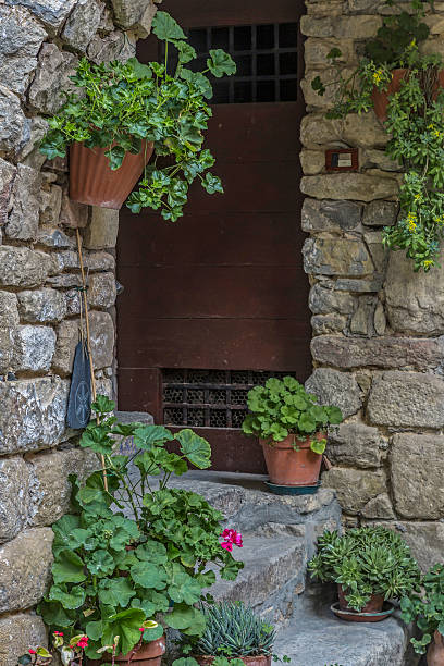 istock House entrance in Liguria 635731092