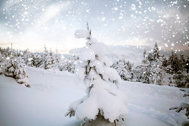 istock Christmas background with snowy fir trees 635731878