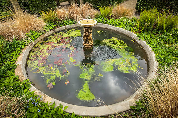 istock Fountain in the Rookery 635748142