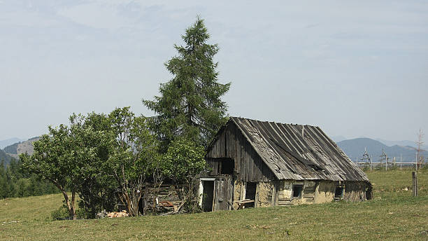 istock Borgo pass, Bargau mountains, Romania 635749536