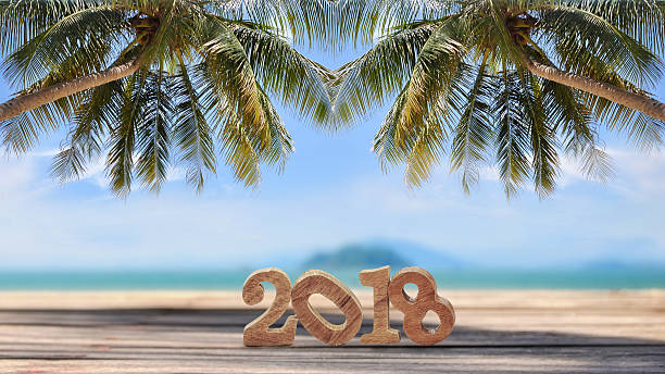 istock Wood number 2018 on planks on tropical beach background 635752936
