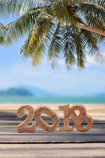 istock Wood number 2018 on planks on tropical beach background 635752984