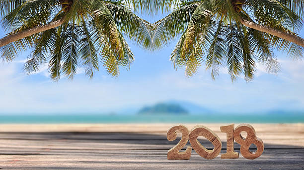 istock Wood number 2018 on planks on tropical beach background 635753006