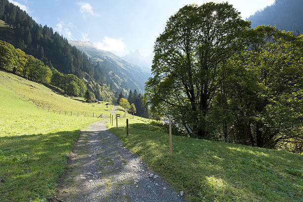 istock Hiking trail at Einoedsbach / Bavaria 635753212