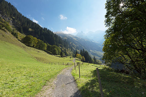 istock Marvelous Alps Panorama at Einoedsbach / Bavaria 635753320