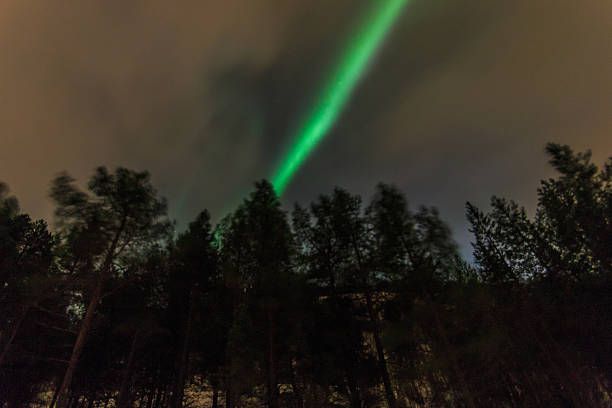 istock Northern lights in Tromso - Norway - Aurora 635758366