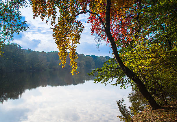 istock Autumn colours with trees by the lake. 635765048