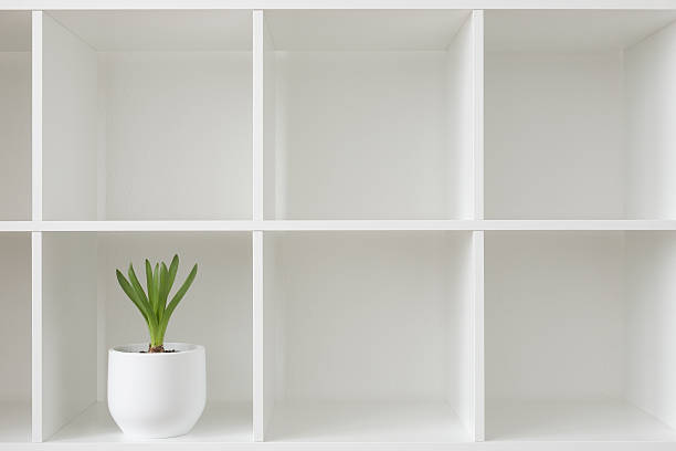 Hyacinth plant in a white pot. Flower on a rack. Interior background.