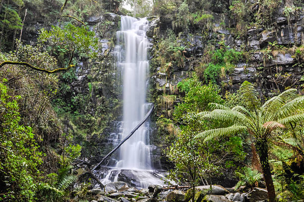 istock Erskine Falls on the Great Ocean Road, Australia 635767748