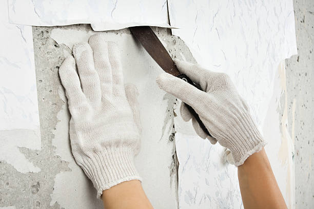 istock hands in gloves removing old wallpaper with spatula 635772504