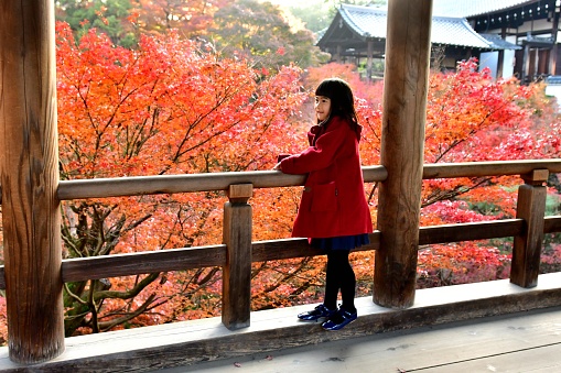 A seven year old Japanese girl is enjoying autumn foliage at the Tsuten-kyo Bridge of Tofuku-ji Temple in Kyoto, Japan.