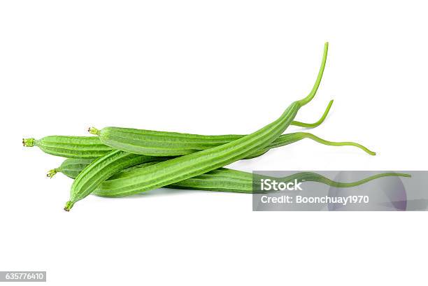 Fresh Luffa Acutangula Isolated On White Background Stock Photo - Download Image Now