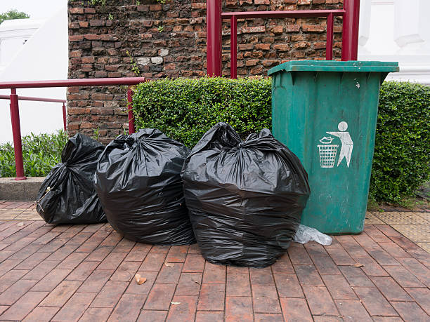 istock Garbage bags and recycle green bin 635784530