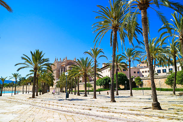 istock Palma de Mallorca, Spain. Central park with palm trees in 635787230