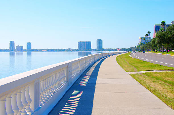 il marciapiede continuo più lungo del mondo bayshore blvd. tampa florida - viale foto e immagini stock