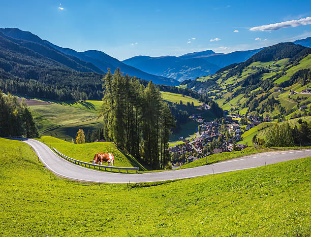 istock Sunny in green Alpine meadows 635790564
