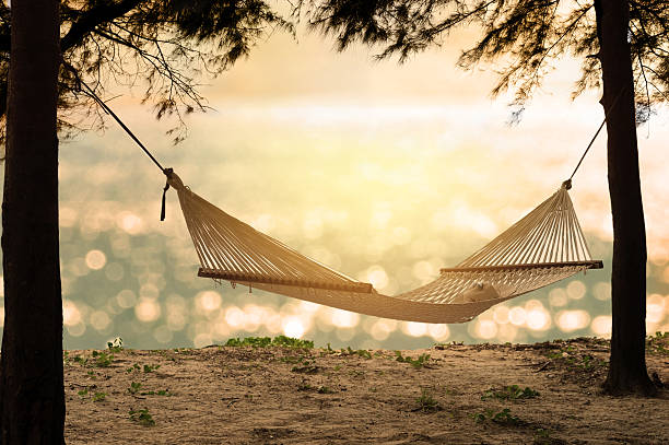 istock Hammock on the beach at sunset with glowing sea bokeh. 635792252
