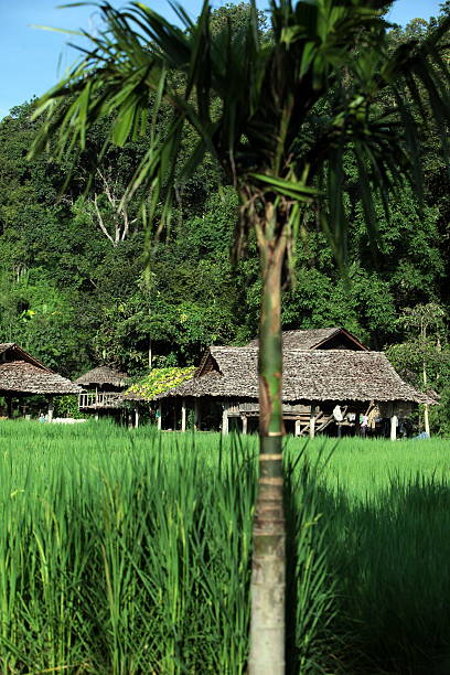 ASIA THAILAND CHIANG MAI CHIANG DAO MINORITY