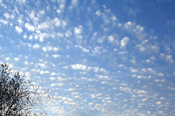 istock BLUE SKY FULL OF LITTLE CLOUDS 635792608