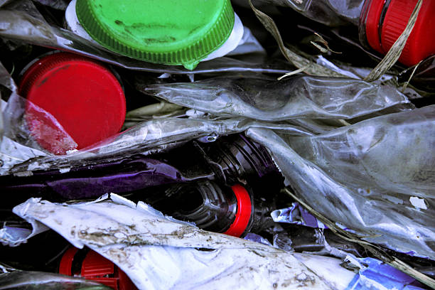 istock Recycling of old plastic bottles 635794958