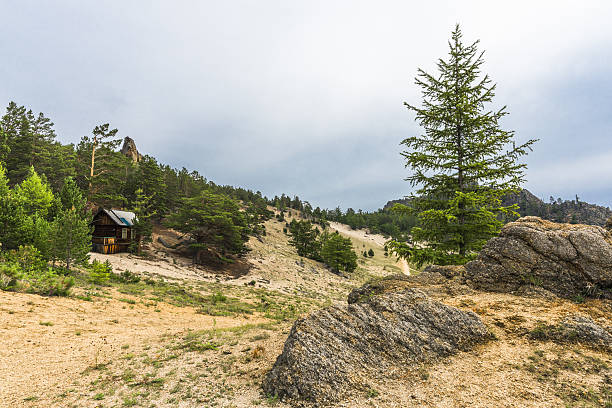 istock Small house on a forested mountain slope 635798008