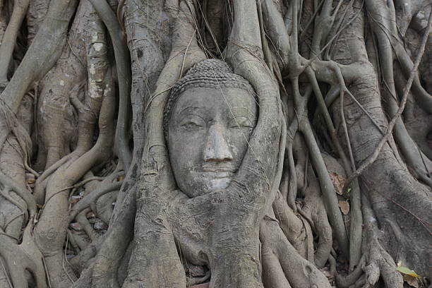 istock ASIA THAILAND AYUTHAYA WAT PHRA MAHATHAT STONE HEAD 635799326