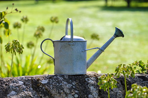 Old watering can on a stone wall in a garden