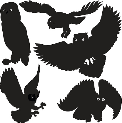Owls silhouettes