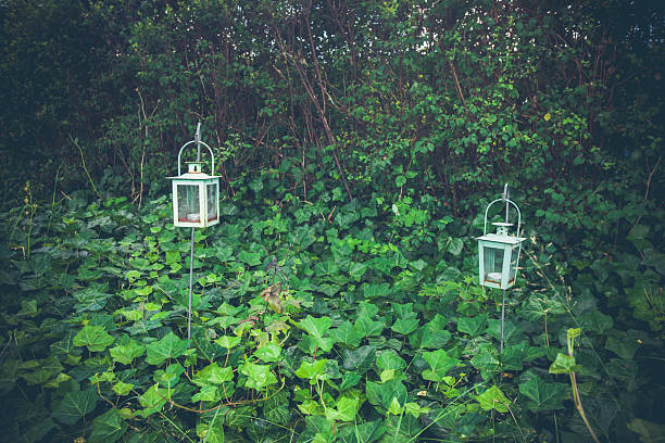 istock Lanterns in a green garden 635801414