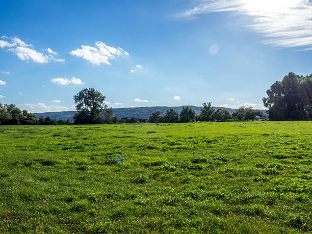 istock Greenfield in Remagen 635806984