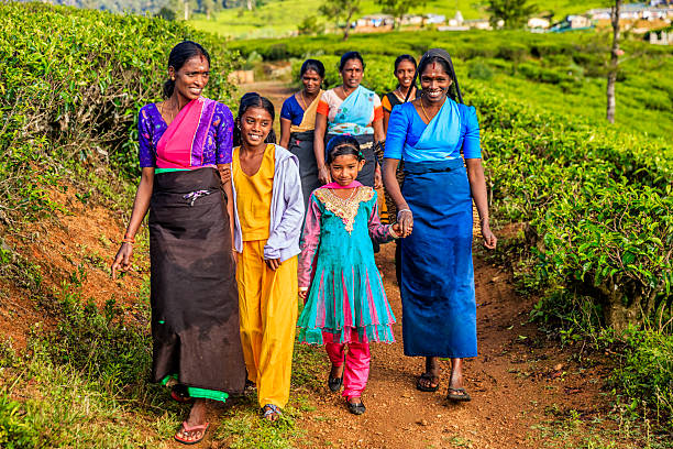 Tamil women walking with their children, Nuwara Eliya, Ceylon Tamil women walking with their children on a tea plantation. All ladies work on this tea plantattion, Nuwara Eliya, Ceylon.  Sri Lanka (Ceylon) is the world's fourth largest producer of tea and the industry is one of the country's main sources of foreign exchange and a significant source of income for laborers. nuwara eliya stock pictures, royalty-free photos & images