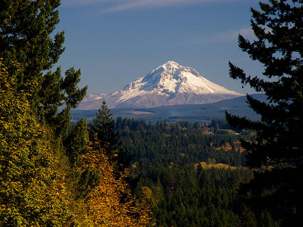 View of Mt Hood from McIver Park, Estacada, Oregon