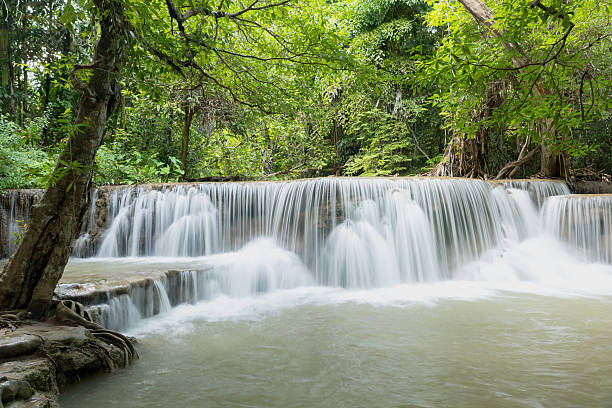 cascada de erawan, ubicada en la provincia de kanchanaburi, tailandia - kanchanaburi province beauty in nature falling flowing fotografías e imágenes de stock