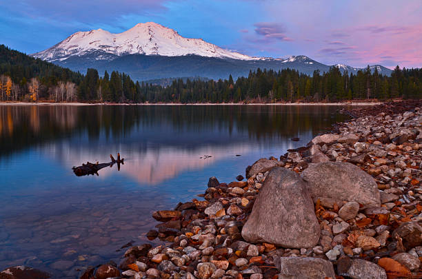 Lake Siskiyou reflecting mount Shasta under beautiful sky after sunset The snow capped mount Shasta and nearby forests perfectly reflected in the clear and still water of lake Siskiyou, California state. After sunset, the sky boasts off its charm in sweet blue-purple color. Small chunk of clouds make the sky looked more dramatic. Rocks and boulders ashore as well as a timber in the lake compliment the beautiful landscape. mt shasta photos stock pictures, royalty-free photos & images