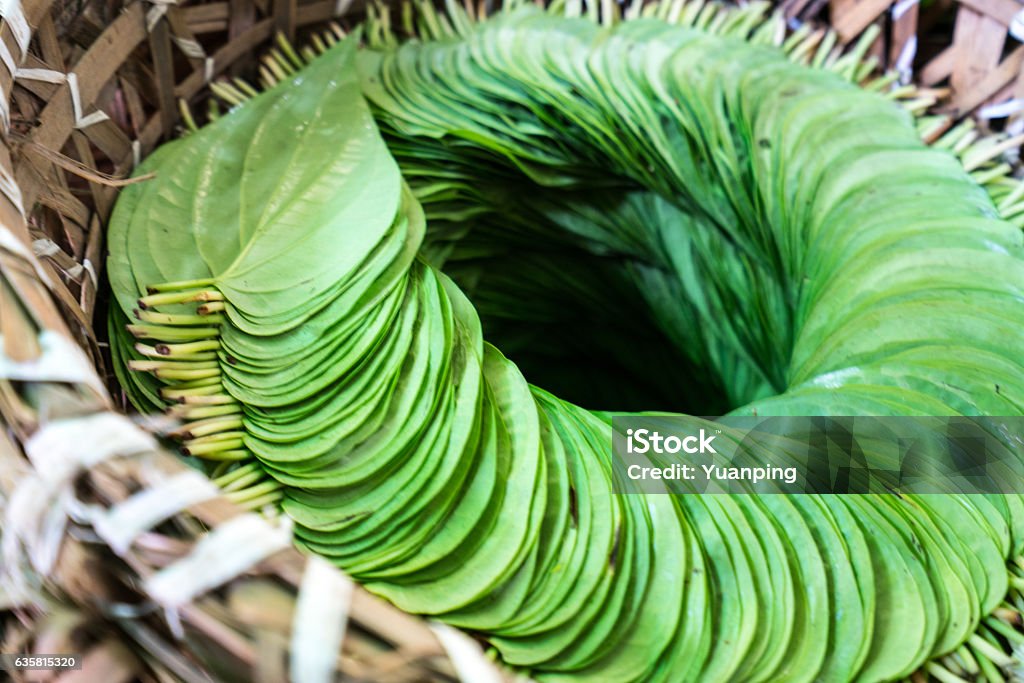 Betel leaves Betel leaves in the market in Bagan, Myanmar Addiction Stock Photo