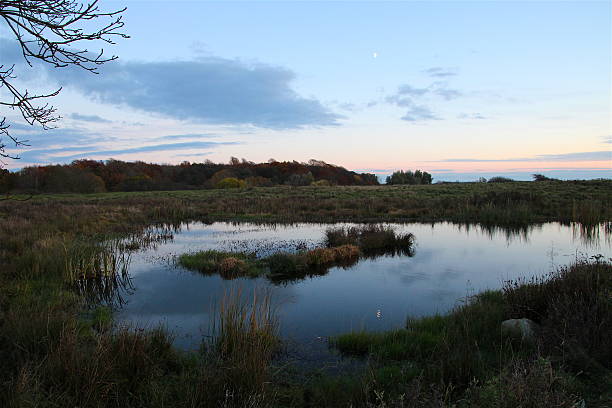 istock Evening beauty of the small lake 635815830
